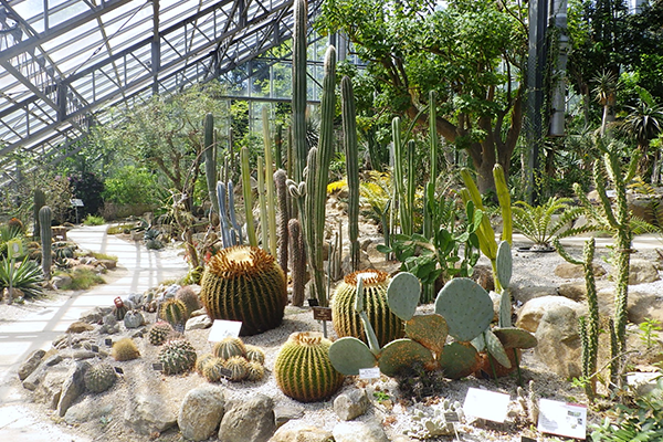 国立科学博物館 筑波実験植物園